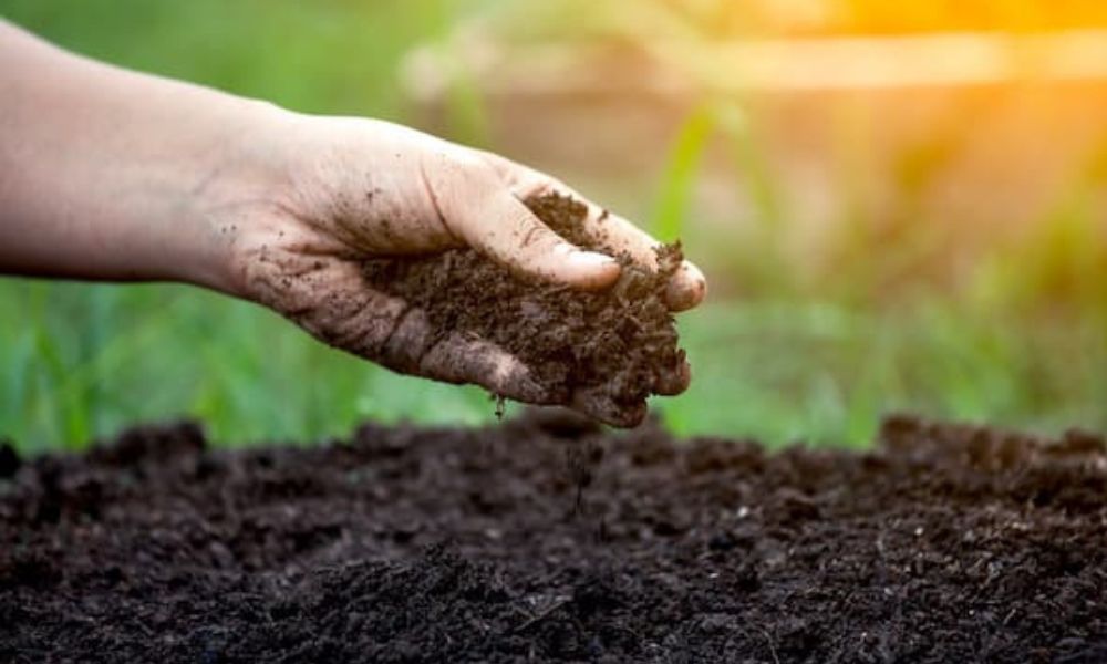 Phân bón hữu cơ dễ dàng phù hợp với mọi nhu cầu sử dụng