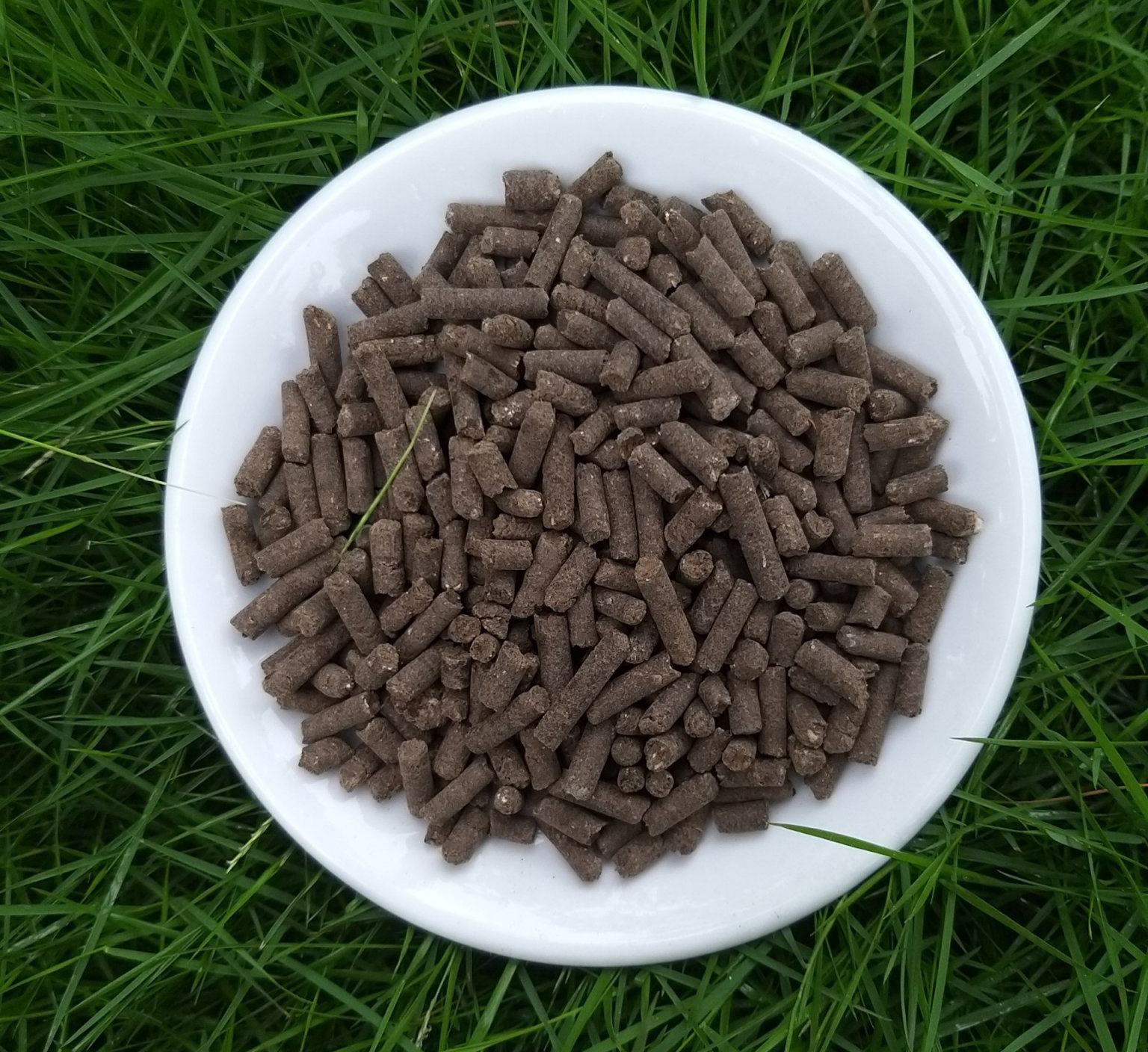 Phan Bon Huu Co Sinh Hoc Sfarm