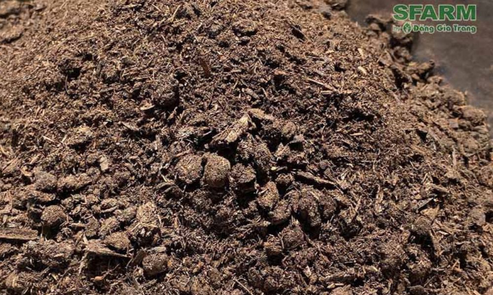 Phân trùn quế là loại phân hữu cơ lành tính và dễ sử dụng