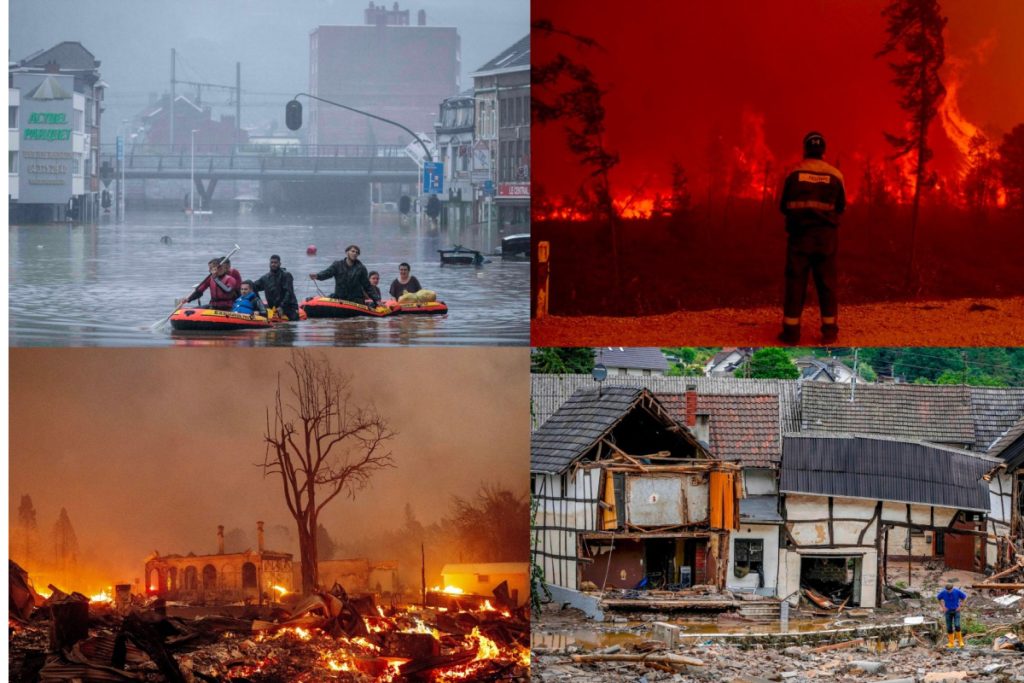 phan loai hop dong bao hiem theo tieu chi nao 4