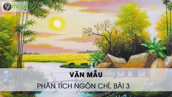 phan tich ngon chi 3 1