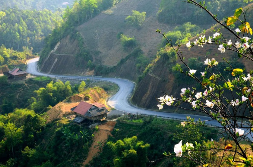 Ảnh minh họa: Nguồn IT