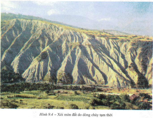 phong hoa li hoc chu yeu do 2