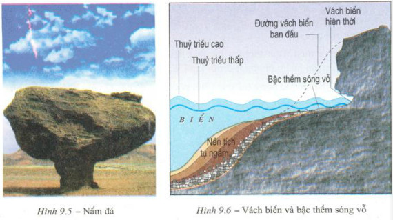 phong hoa li hoc chu yeu do 3