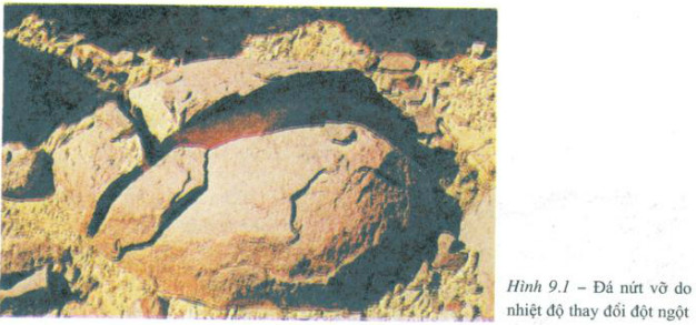 phong hoa li hoc chu yeu do