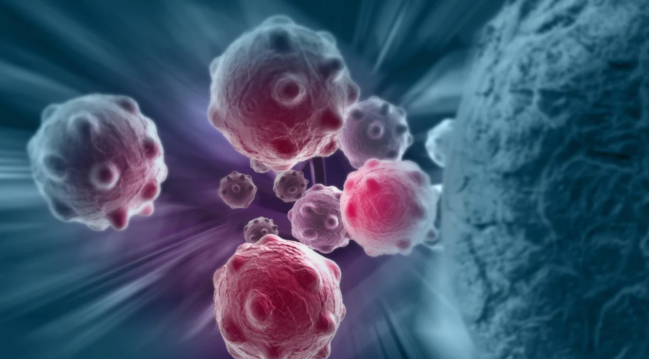 Chất oxi hóa là gì? Thế nào là oxi hóa trong cơ thể? 2