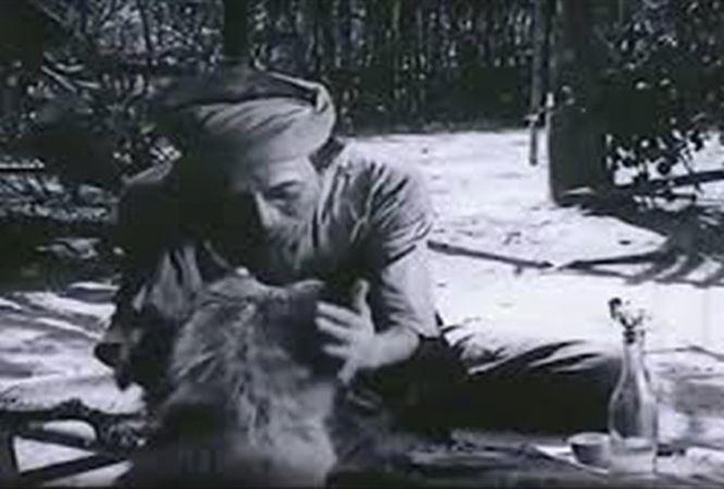 quy ho tinh bat quy ho da