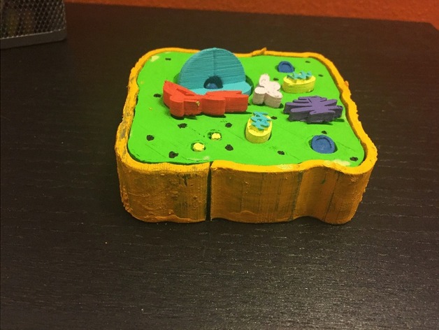 science teachers use the 3d