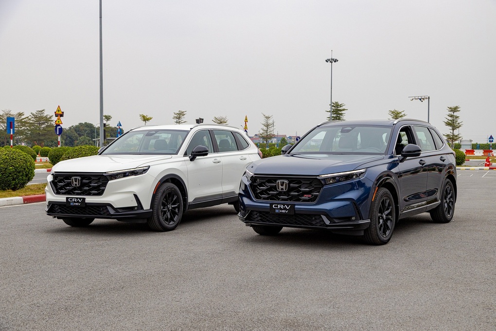 Xe hybrid hay xe điện sẽ là xu hướng tại Việt Nam trong năm 2026? - 4