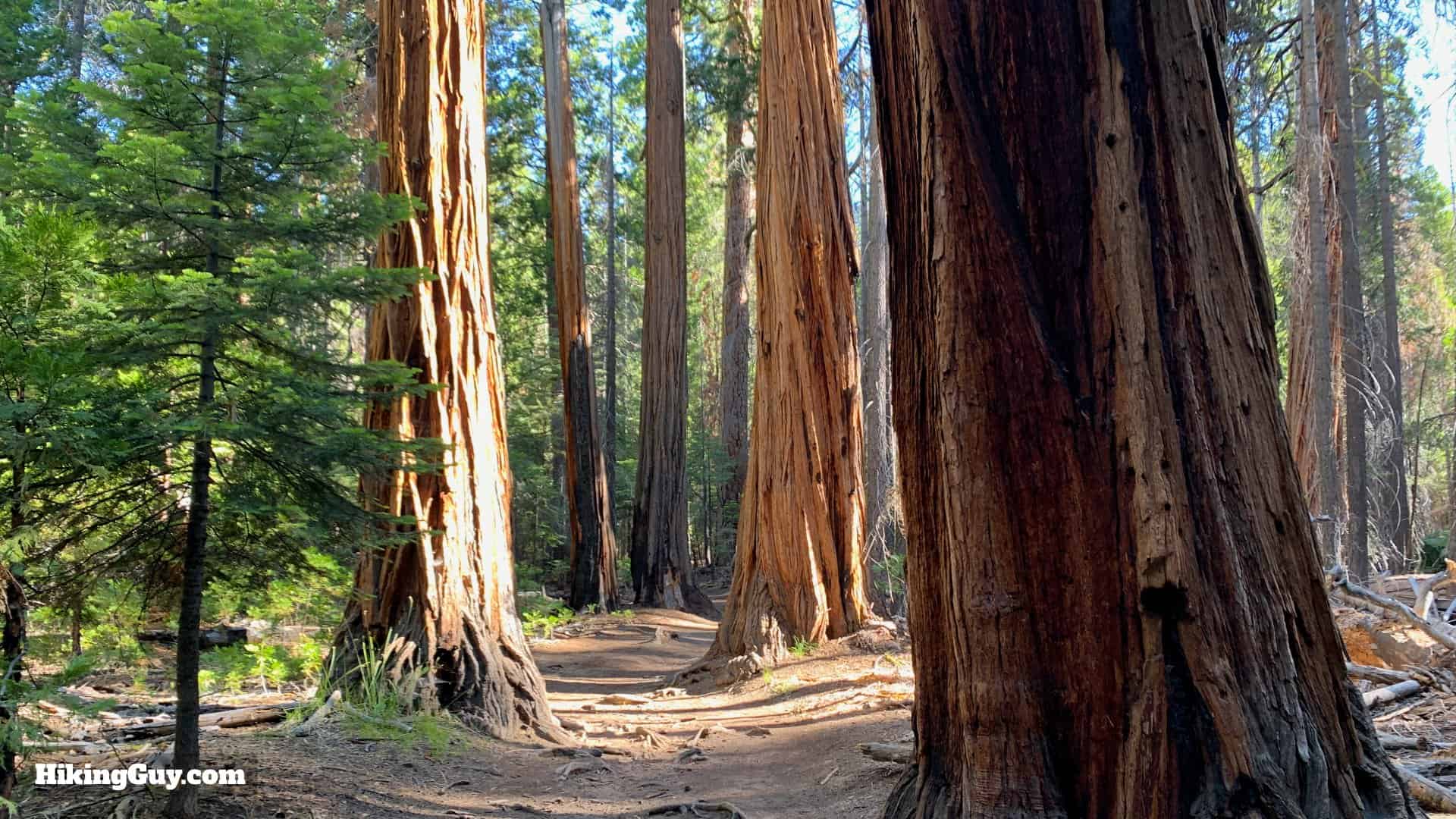 Half Dome Hike Directions 34