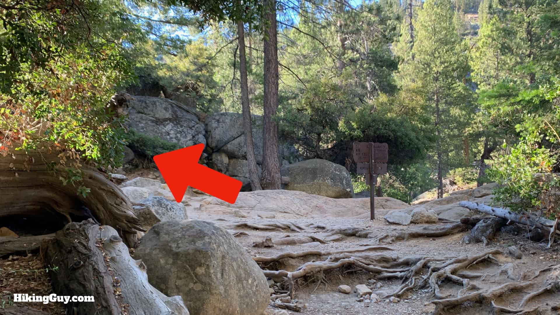 Half Dome Hike Directions 60