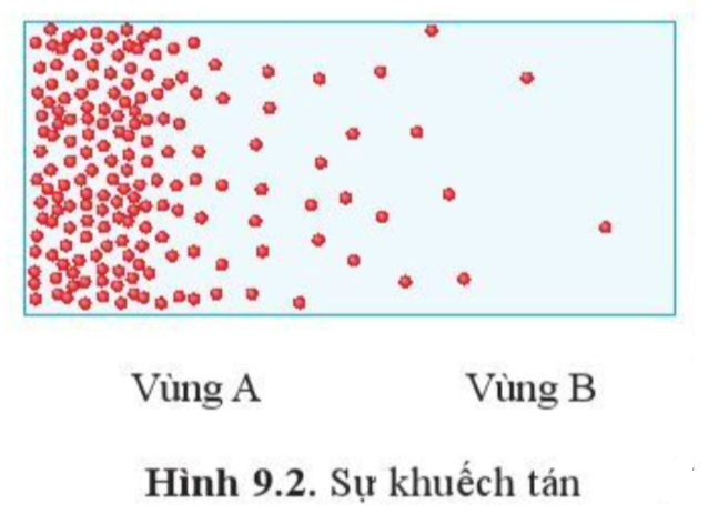 Bài 9. Trao đổi chất qua màng sinh chất trang 55, 56, 57, 58, 59, 60 Sinh 10 Cánh diều</>
