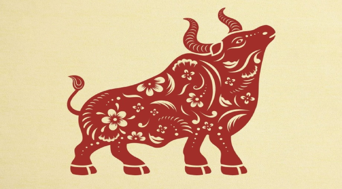 sinh nam 1997 hoc lop 1 nam nao 1