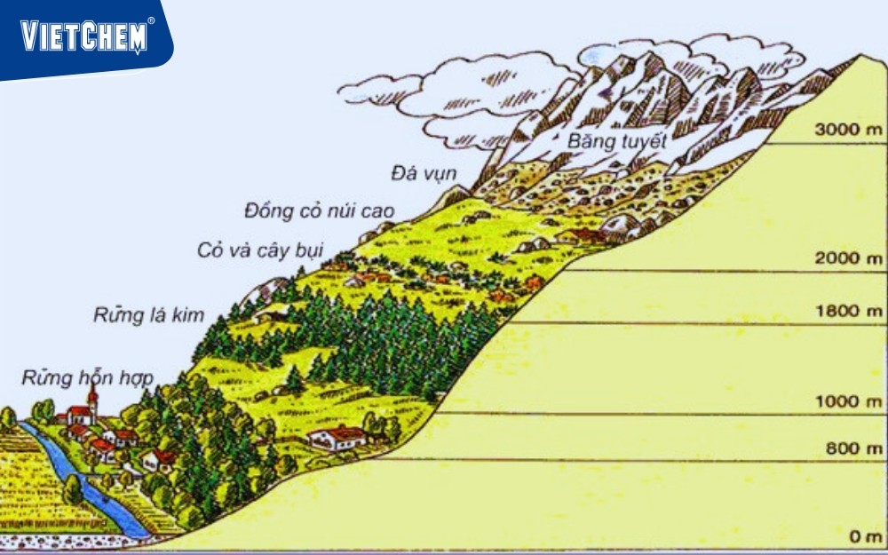 cac-vanh-dai-thuc-vat-theo-do-cao-o-nui-an-po