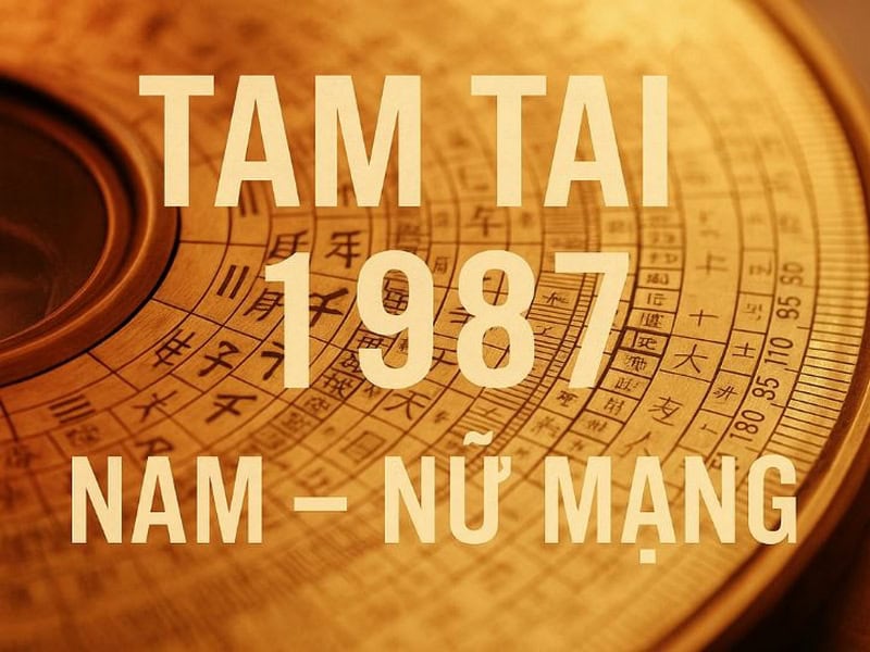 sn 87 nam nay bao nhieu tuoi 4