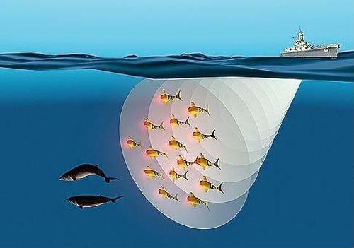 Ứng dụng sóng siêu âm