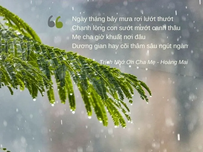 tho-song-that-luc-bat-voh-6