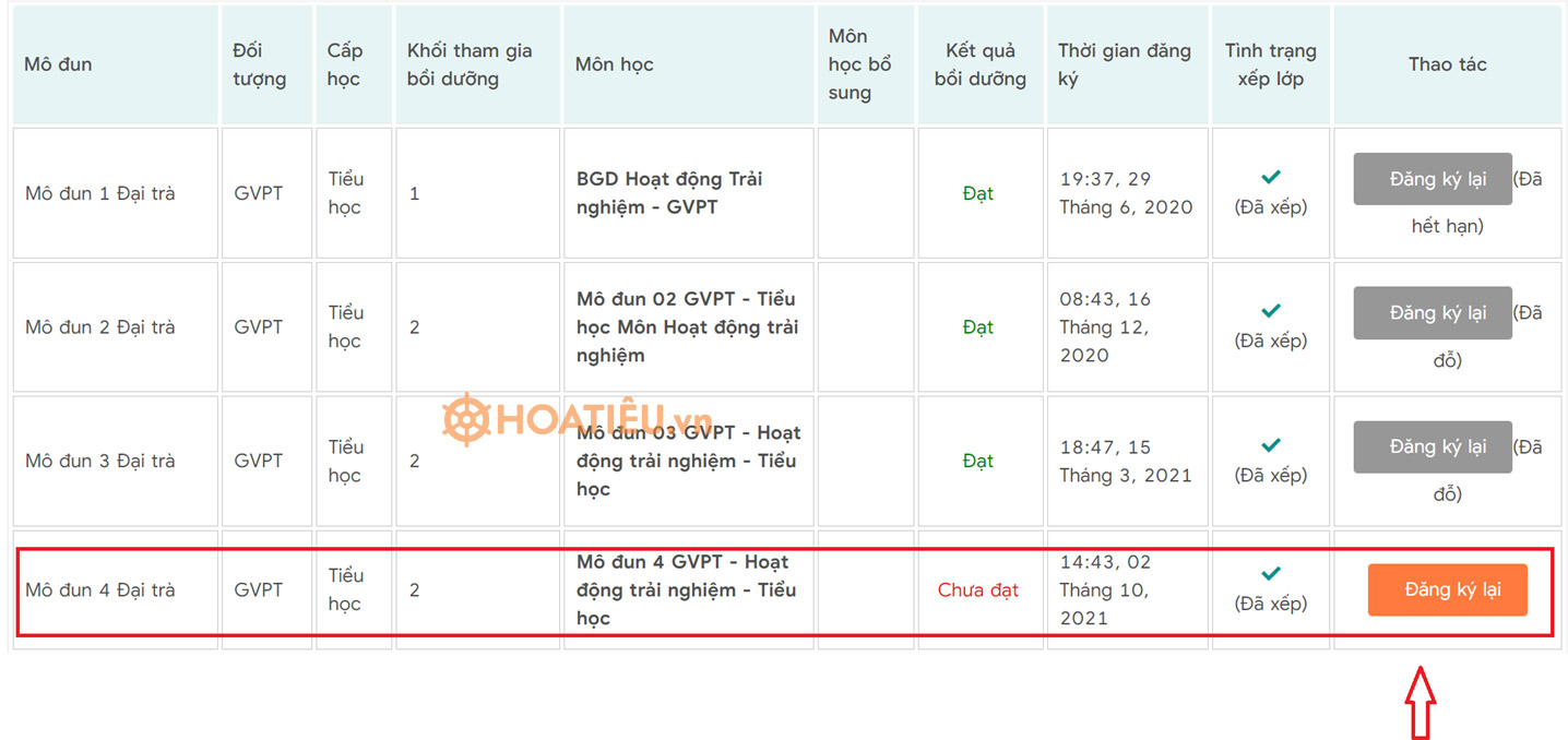 Hướng dẫn học mô đun 4 chi tiết
