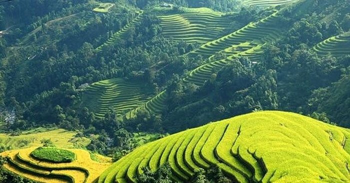 Bài phân tích 12 câu tiếp bài Việt Bắc hay nhất