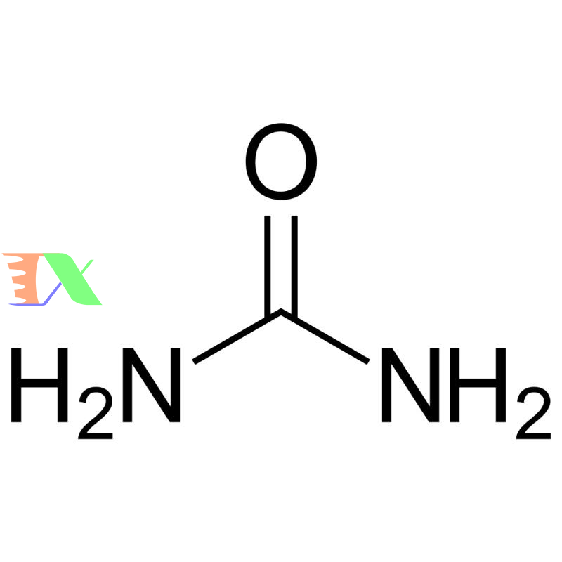 thanh phan chinh phan dam ure 1