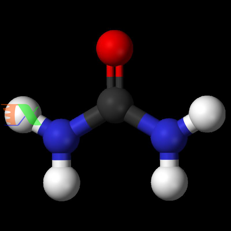thanh phan chinh phan dam ure 2