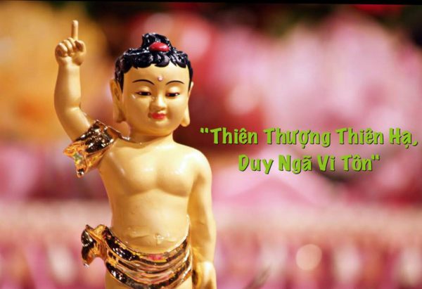 Duy ngã độc tôn