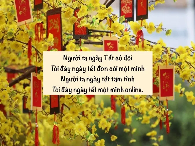 Tổng hợp những bài thơ chế hài hước và thú vị 14