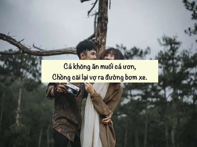 Tổng hợp những bài thơ chế hài hước và thú vị 9