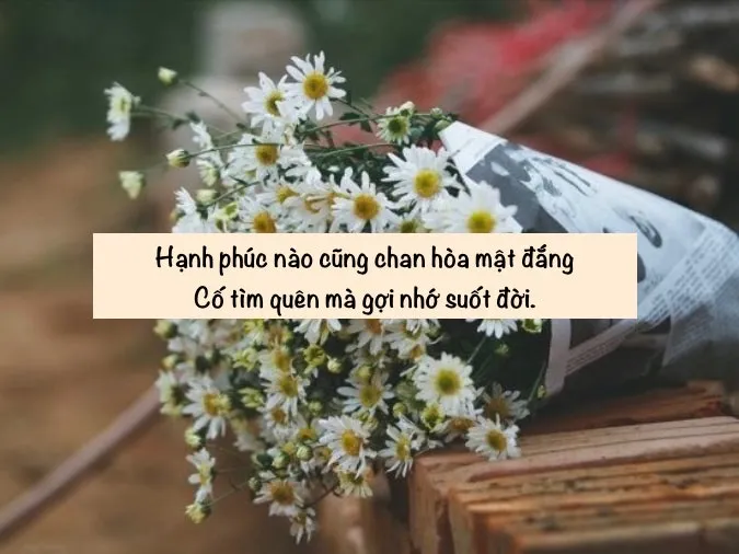 Tổng hợp những bài thơ chế hài hước và thú vị 8