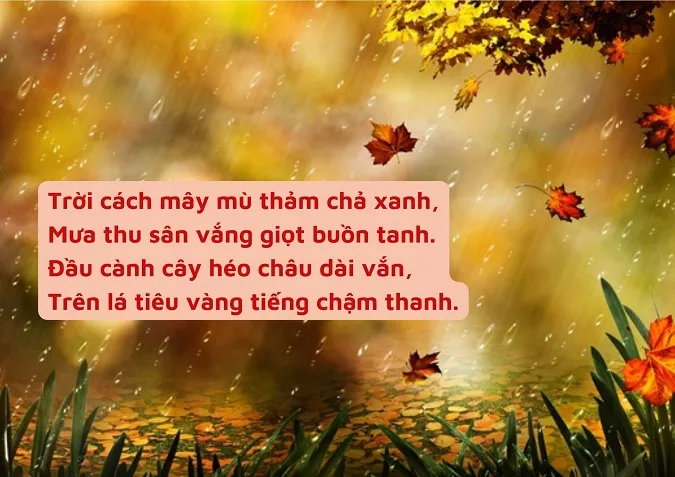 tho-ho-xuan-huong-voh-3