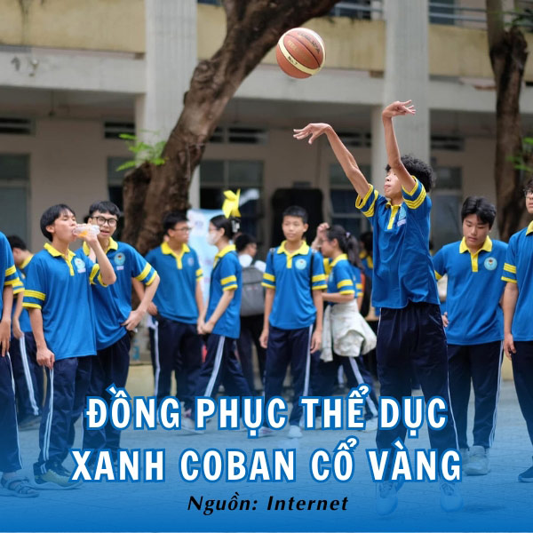 Đồng phục thể dục xanh coban cổ vàng Trường THPT Giồng Ông Tố trẻ trung, nổi bật