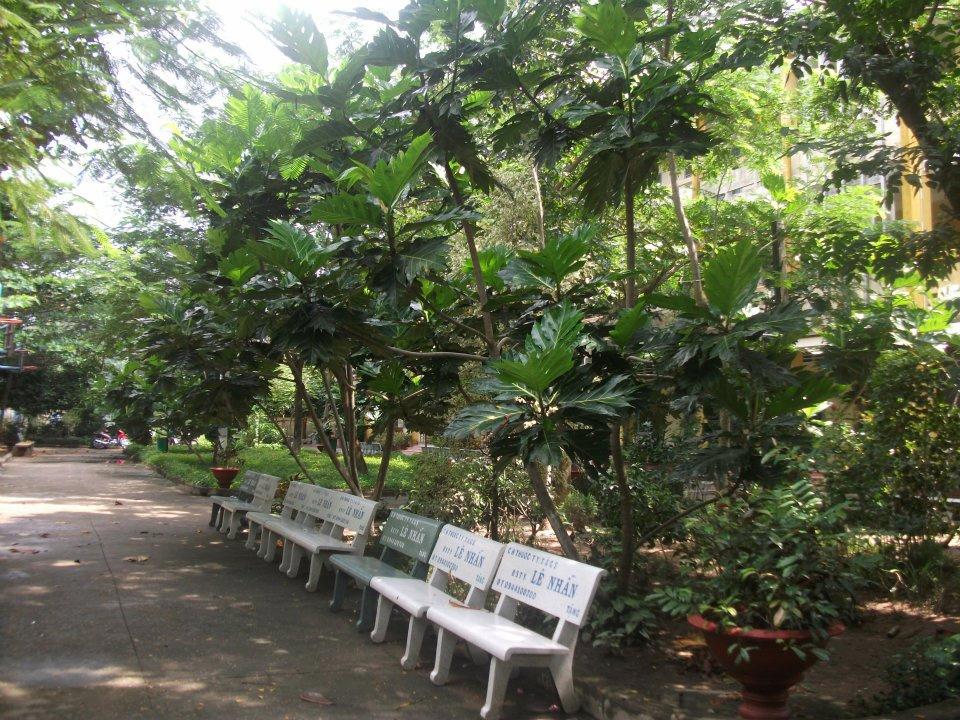 Đánh Giá Trường THPT Huỳnh Văn Sâm - Tiền Giang Có Tốt Không