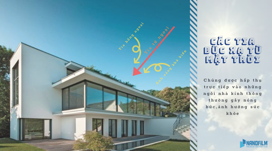 Các tia tử ngoại gây hại