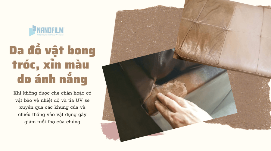 Tia tử ngoại làm hư hỏng nội thất