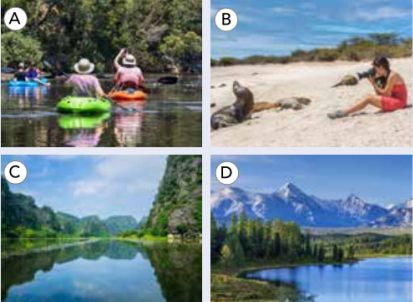 Tiếng Anh 10 Unit 8 Focus Review 8</>