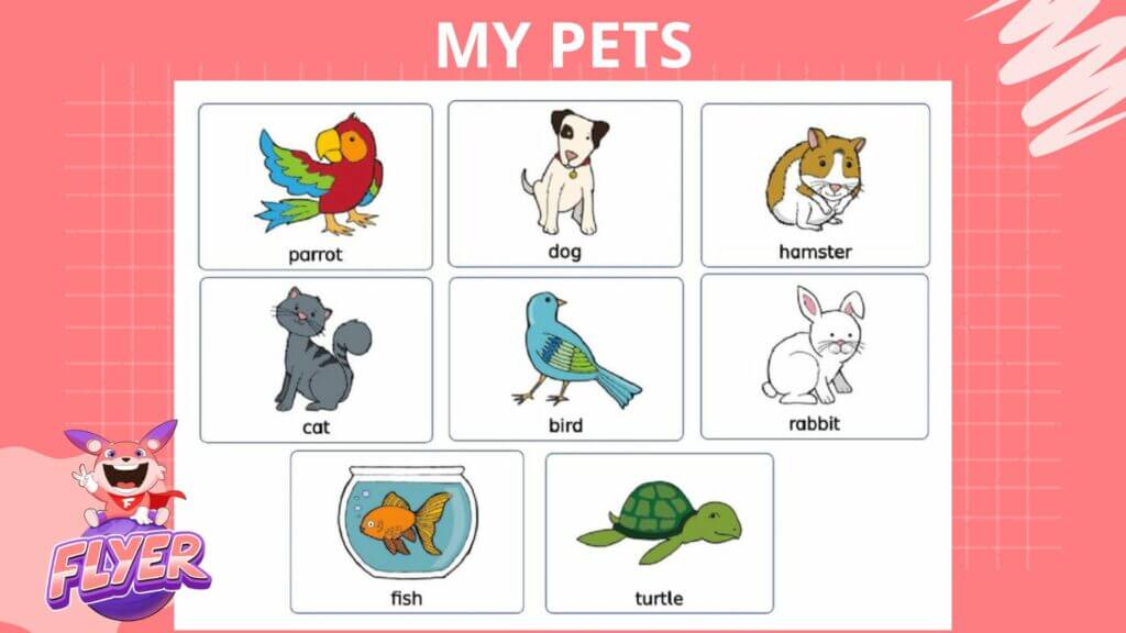 Từ vựng tiếng Anh lớp 3 học kỳ II, Unit 16: My pets