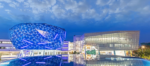 British University Vietnam