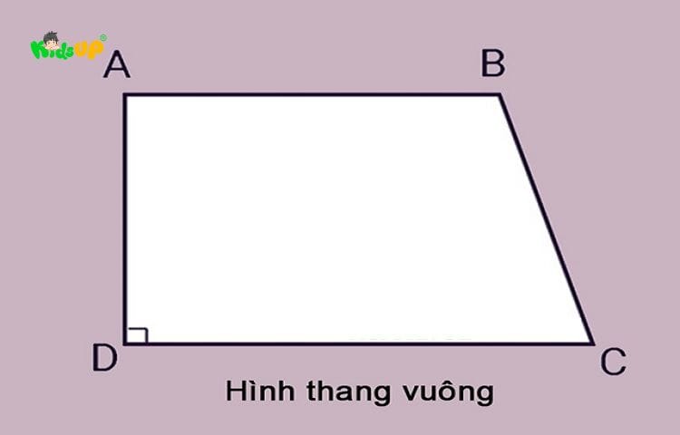 Bài tập về chu vi hình thang
