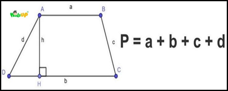 Phương pháp lập luận được sử dụng thường xuyên trong toán học