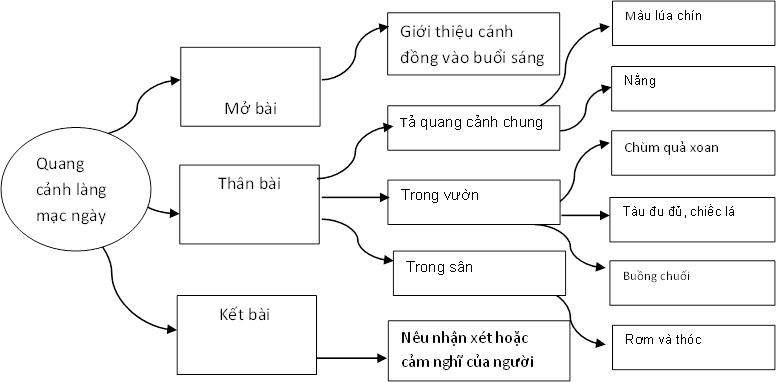 tlv lop 5 ta do vat 1