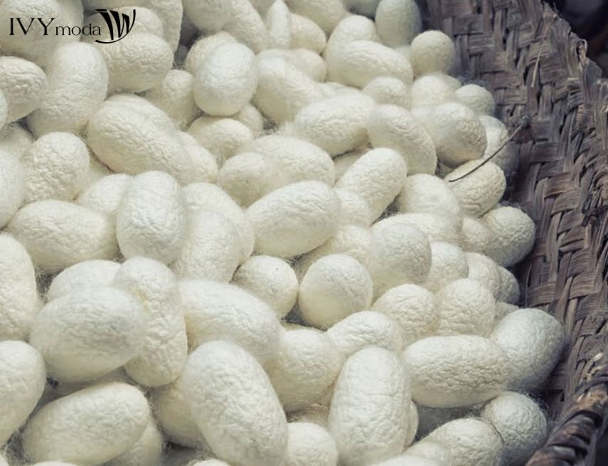 Nguồn gốc vải sợi tơ tằm