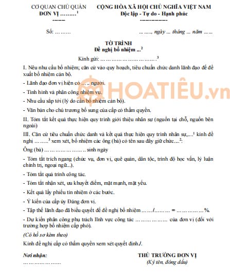 Mẫu tờ trình đề nghị bổ nhiệm trưởng phòng