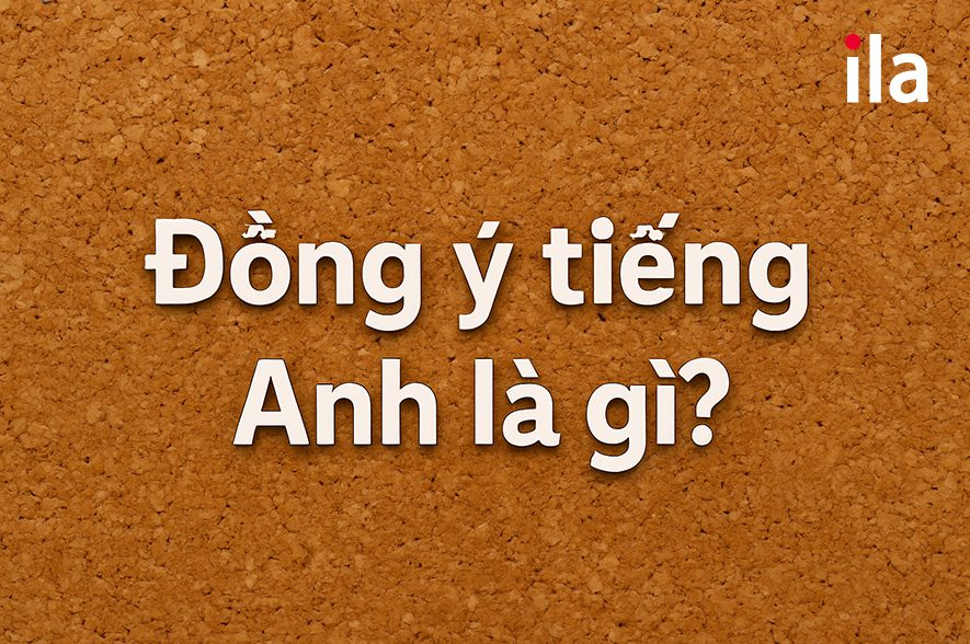 Đồng ý tiếng Anh