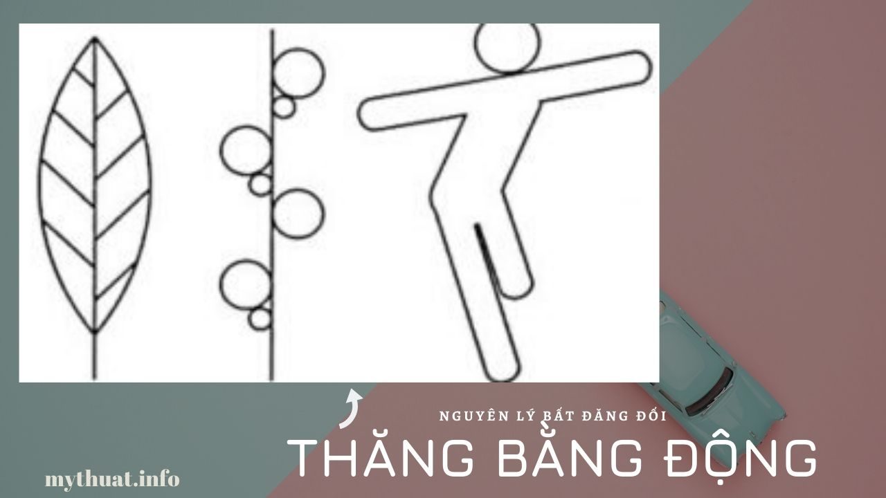 Nguyên lý bất đăng đối_thăng bằng động