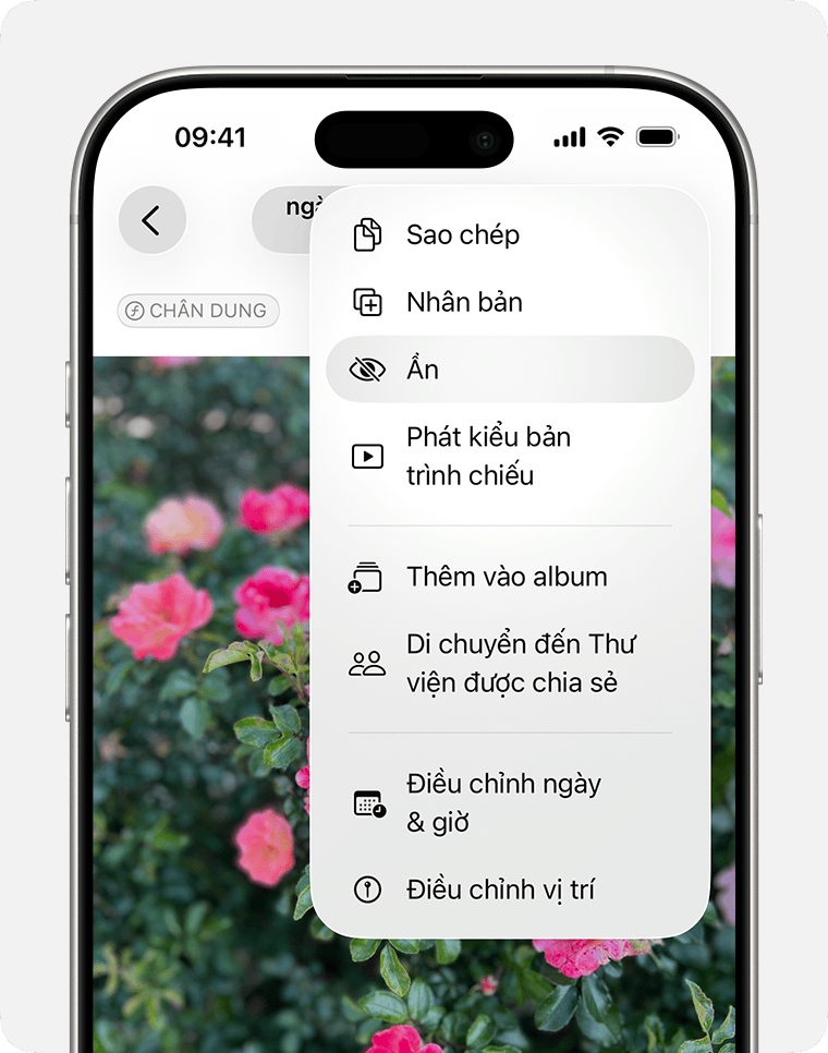Menu thả xuống đánh dấu tính năng Ẩn cho ảnh.