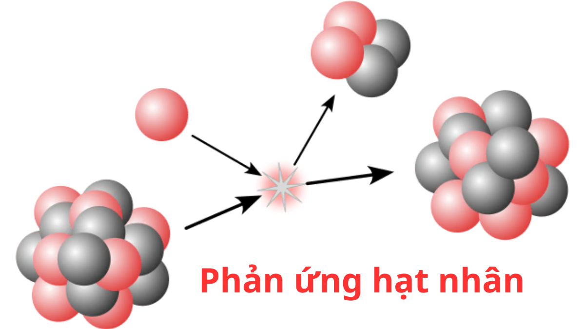 phan-ung-hat-nhan