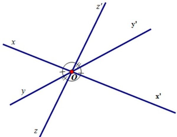 Mô phỏng hệ tọa độ Descartes một chiều