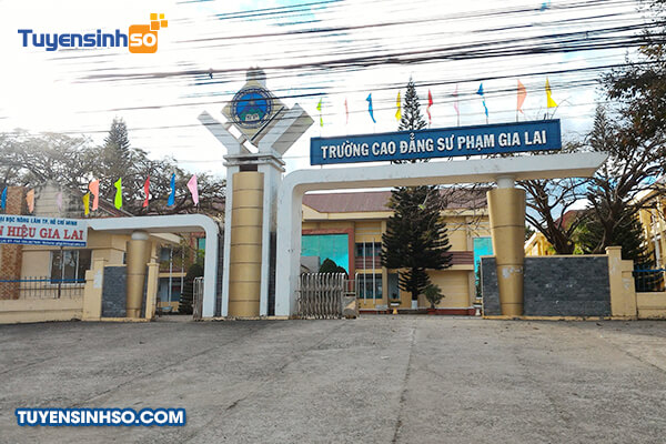 truong cao dang su pham gia lai