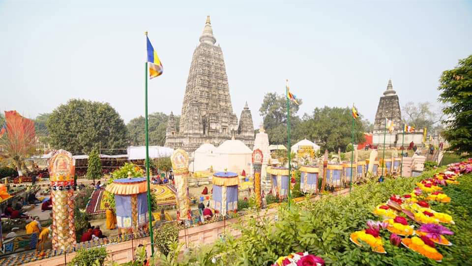 truong cuu hay truong cuu