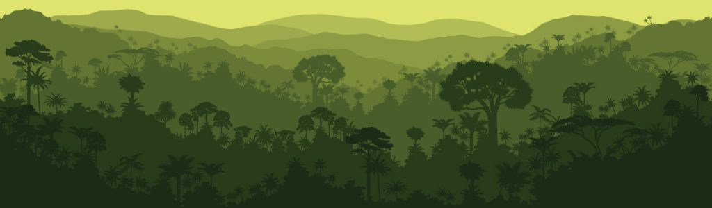 ung pho voi bien doi khi hau la gi 1